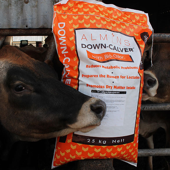 Bio-Chlor Down Calver Feed